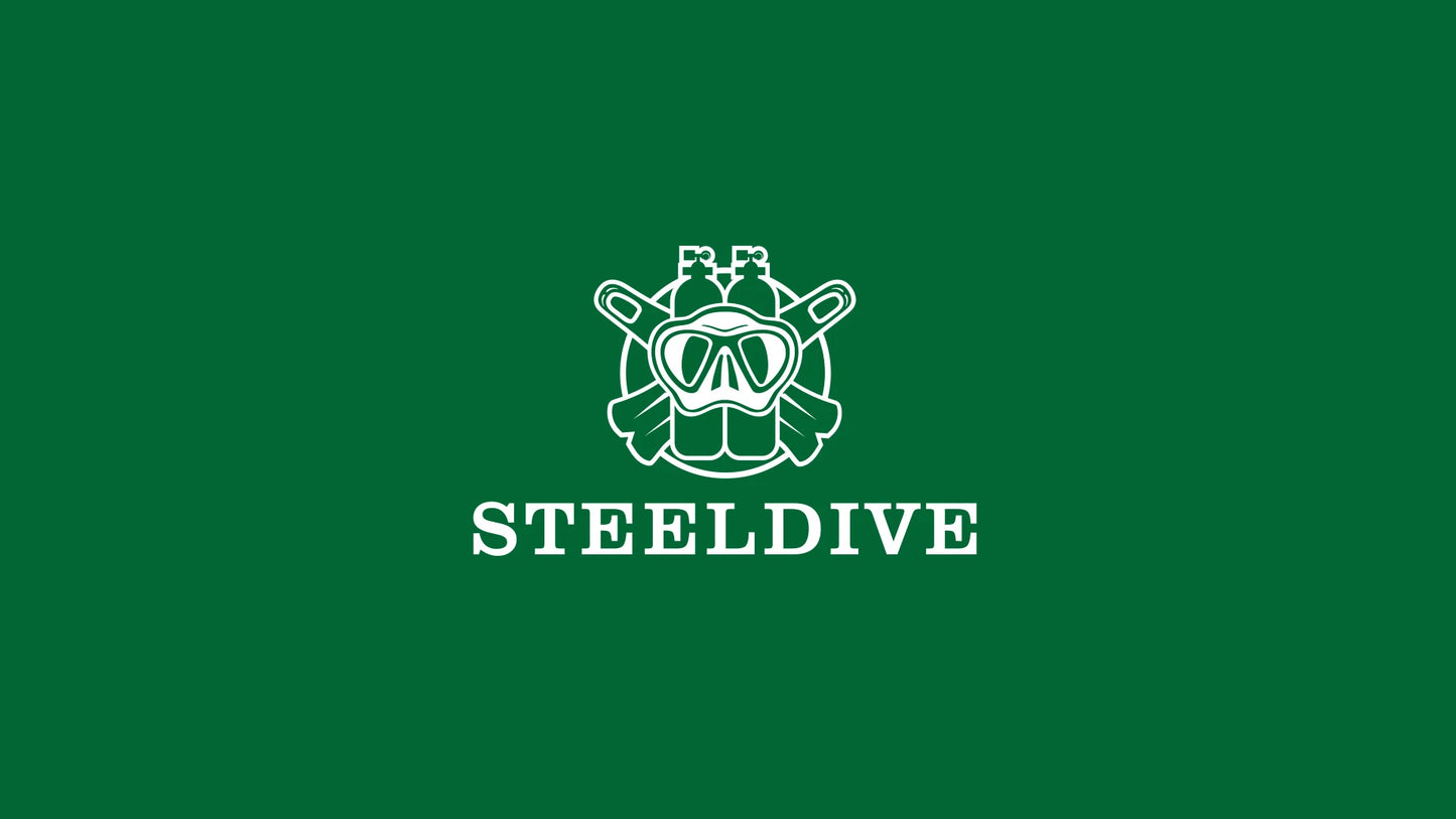 STEELDIVE SD1954 Black Dial 41MM Stainless Steel NH35 Automatic Movement What Ghost Men's 300M Dive Watch Sapphire Glass