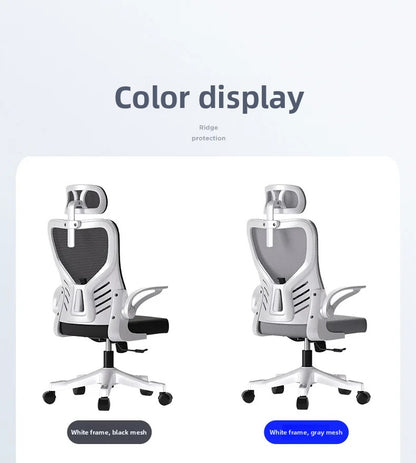 Sedia da ufficio ergonomica per computer, studio prolungato, mahjong, conferenze e dormitorio