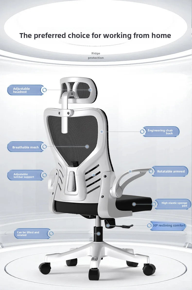 Sedia da ufficio ergonomica per computer, studio prolungato, mahjong, conferenze e dormitorio