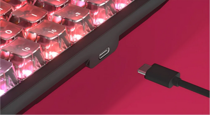 DarKBeacon RGB 87 tasti, tastiera compatta TKL USB cablata, hot-swappable, meccanica silenziosa per Windows, laptop, PC, gaming e lavoro
