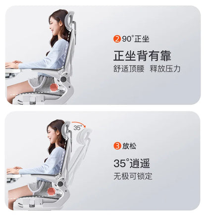 Adjustable Breathable Mesh High Density Sponge Seat Ergonomic Gaming Chair 3D Lumbar Support Racing Swivel
