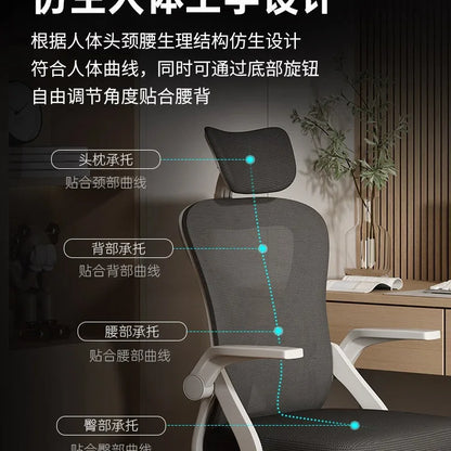 Sedia ergonomica da computer per home office, comoda, per sedentarietà, studenti e camera da letto, con seduta reclinabile