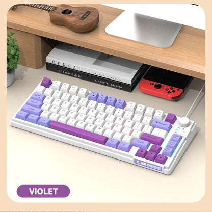 Teclado Gaming K81 com 81 Teclas, Layout 80%, Espanhol, Russo, Coreano e Árabe, USB com Fio, Luz RGB, Botão de Volume, Ergonómico