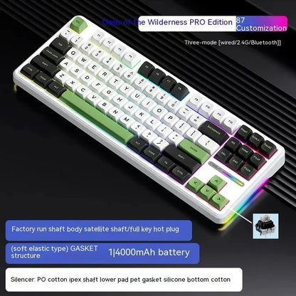 Tastiera meccanica AULA F87 Pro 2.4g/USB/Bluetooth Tri-Mode wireless, 87 tasti, RGB, PBT, gasket, silenziamento a 5 strati, full key, senza impatto