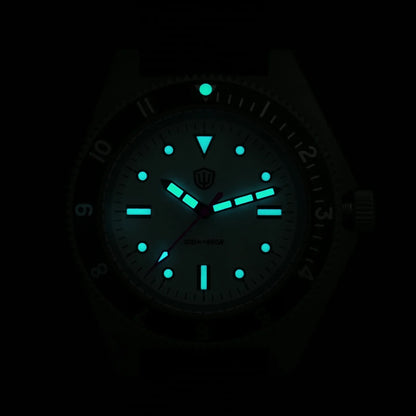 Watchdives WD1972 Quartz Watch VH31 Sweep Seconds Movement Sapphire Crystal BGW9 Luminous 20Bar Waterproof Vintage Men's Watches
