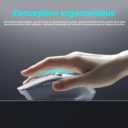 Mouse Bluetooth wireless con display digitale della batteria, mouse ergonomico silenzioso per PC, laptop e gaming, 2.4G/Bluetooth 5.0