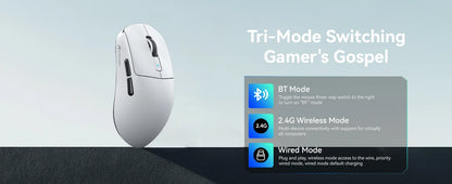 Attack Shark R6 leichte kabellose Gaming-Maus, Computermaus mit PAW 3950Max Sensor und Nordic 52480, 8KHz Polling