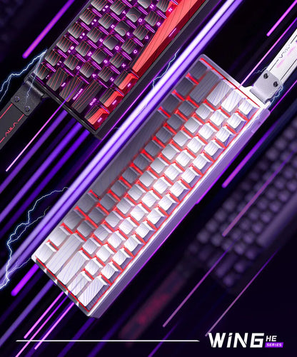 AULA WIN 68 HE Tastatur mit magnetischen Schaltern RT Gaming-Mechanische Tastatur kabelgebunden 8KPolling Rate Full-Key Hot-Swappable