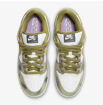 Nike genuine SB Dunk Low Pro Unisex Lightweight Skate Shoes HJ3386-300