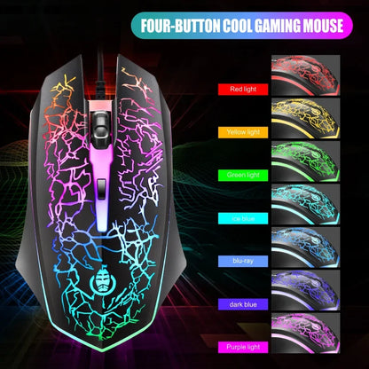 Combo tastiera e mouse da gaming cablati per computer desktop, tastiera retroilluminata LED effetto meccanico