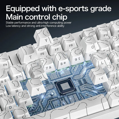 Tastiera gaming magnetica cablata ATTACK SHARK R82 HE 75% RGB 8000Hz Rapid Trigger, attuazione 0.005mm