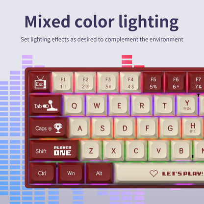 AJAZZ AK680 65% Wireless Mechanical Keyboard ABS Keycap Hot Swap Gamer Keyboard Custom Gasket Gaming Accessories for PC Laptop