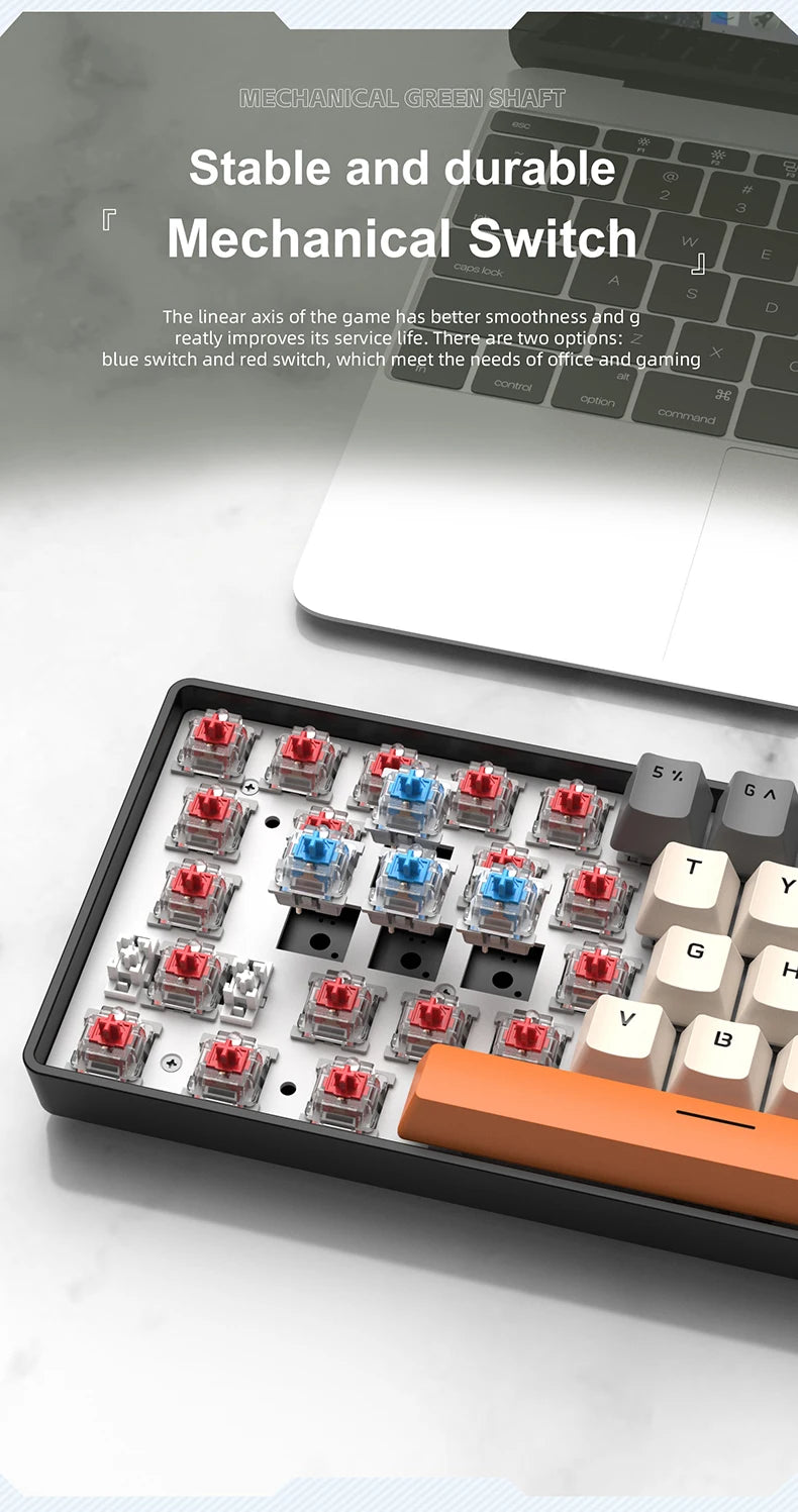 Teclado Mecânico Mini APAYADO K61, Com Fios, 61 Teclas, Phantom RGB, Switch Mecânico Vermelho/Azul Preto/Branco para Gaming, 60% Portátil
