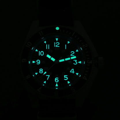 Watchdives WD1972 Quartz Watch VH31 Sweep Seconds Movement Sapphire Crystal BGW9 Luminous 20Bar Waterproof Vintage Men's Watches