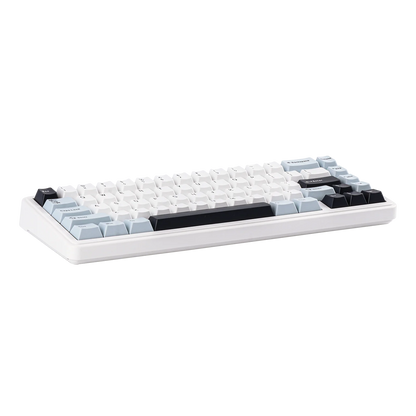 Teclado mecânico EPOMAKER x AULA F65 com layout 65%, hot-swap, montagem gasket e ligação com fios/Bluetooth/2.4G sem fios para Mac/Win