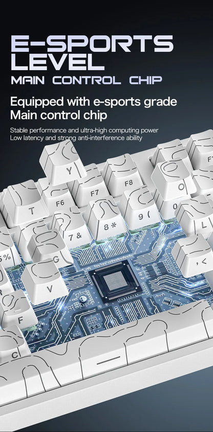 Attack Shark R82HE Wired RGB Magnetic Switch Keyboard, 256K Scan Sampling Rate, Accuracy 8K Return Rate