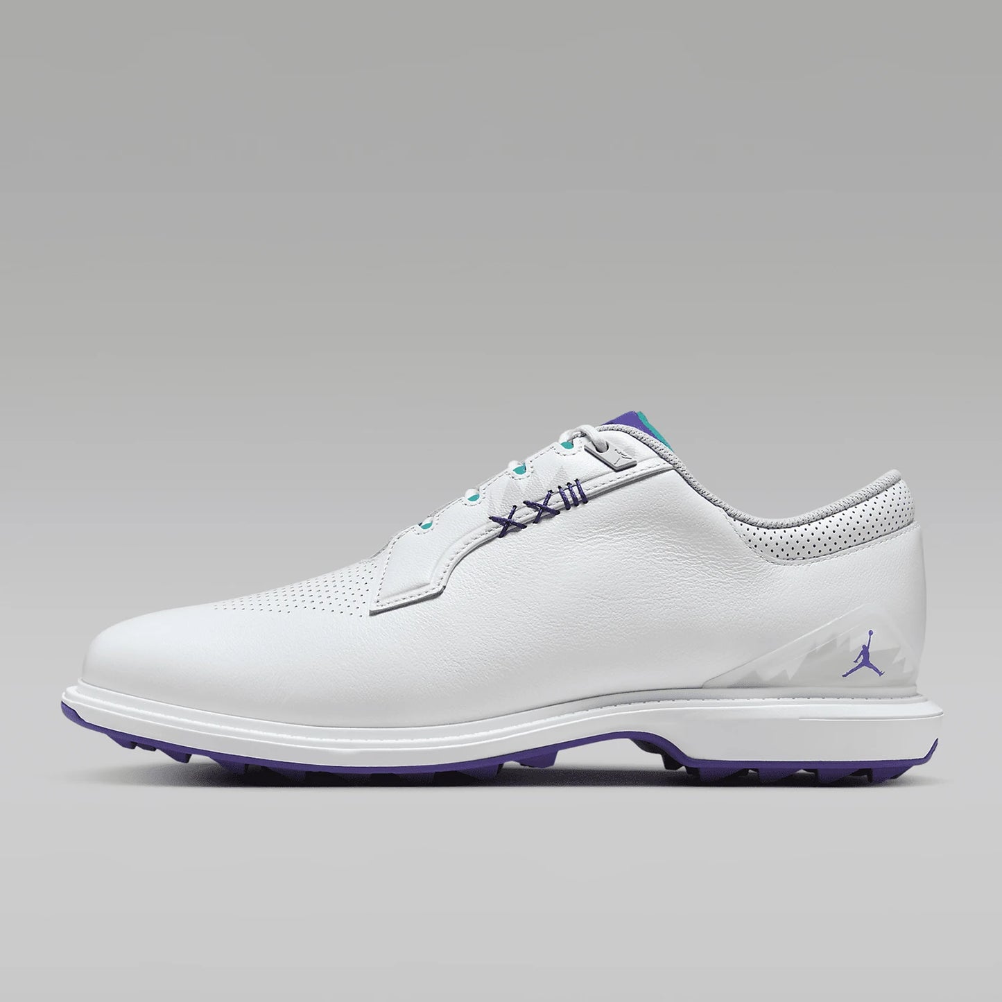 Nike Authentic Jordan ADG 5 W Men's Sports Golf Shoes FQ7874-100